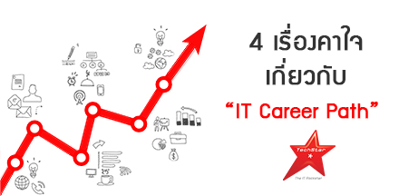 4 Curiosities on IT Career Path