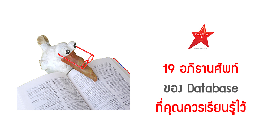 19 อภิธานศัพท์ของ Database ที่คุณควรเรียนรู้ไว้