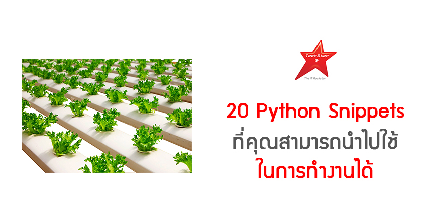 20 Python Snippets You Should Learn Today