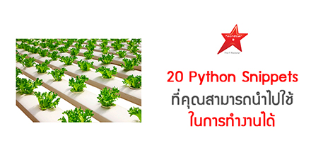 20 Python Snippets ที่คุณสามารถนำไปใช้ในการทำงานได้