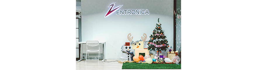 Entronica Co., Ltd. Entronica Co., Ltd.
